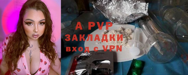 ПСИЛОЦИБИНОВЫЕ ГРИБЫ Няндома