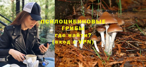 ПСИЛОЦИБИНОВЫЕ ГРИБЫ Няндома