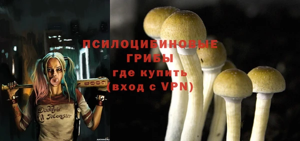 mdma Осинники