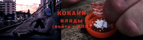 ПСИЛОЦИБИНОВЫЕ ГРИБЫ Няндома