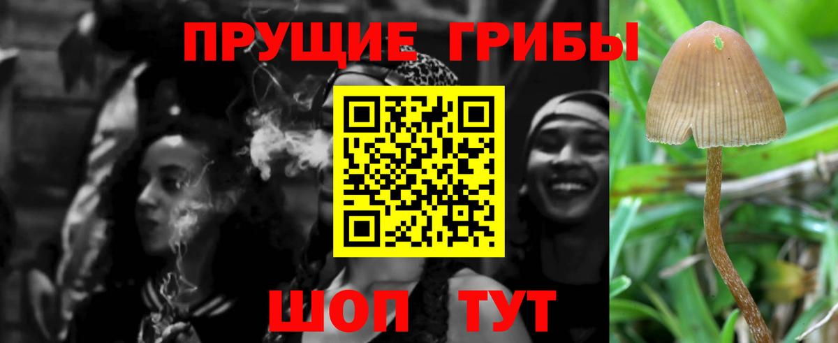 Псилоцибиновые грибы мухоморы Отрадное
